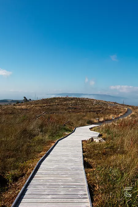A wooden boardwalk through the Cavan Burren, with blue skies and mist on distant hills.