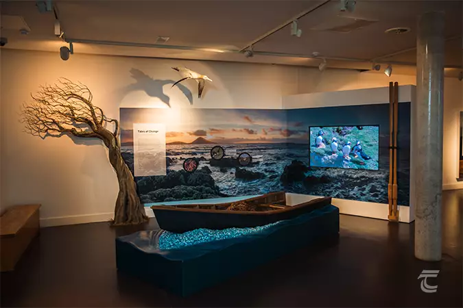 an exhibit at the Wild Nephin Visitor Centre
