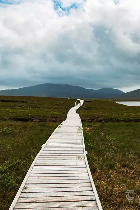 the wooden walkway which snakes through the blanket bogland of Wild Nephin/Ballycroy National Park, Mayo