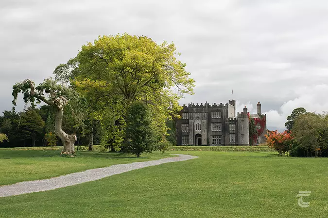 the grounds of Birr Castle, with the castle itself partially hidden by large trees