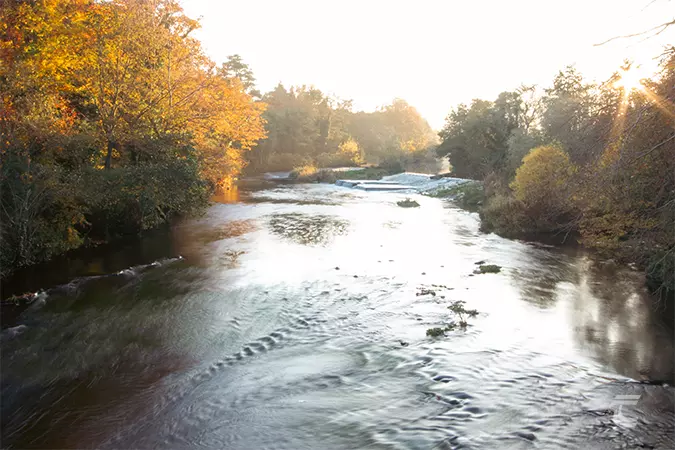 The River Liffey bounded on either side by autumnal trees