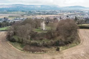 An aerial view of Castletown Motte (Dún Dealgan) in Louth. A tower called Byrne's Folly tops the motte, and the motte is well covered with trees.
