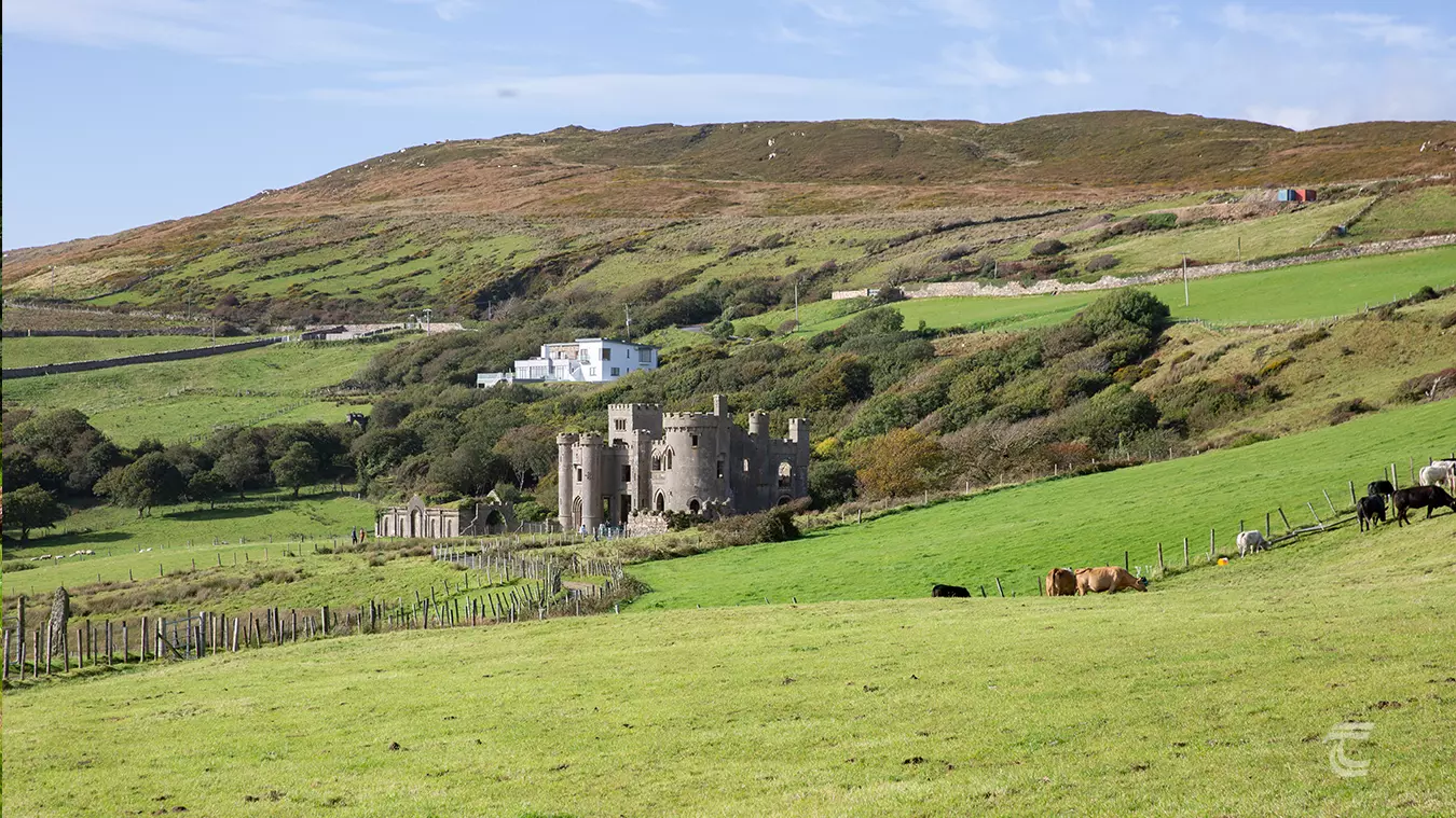 Clifden Castle among fields with cows grazing with the juxtaposition of a large, modern house in the background. 