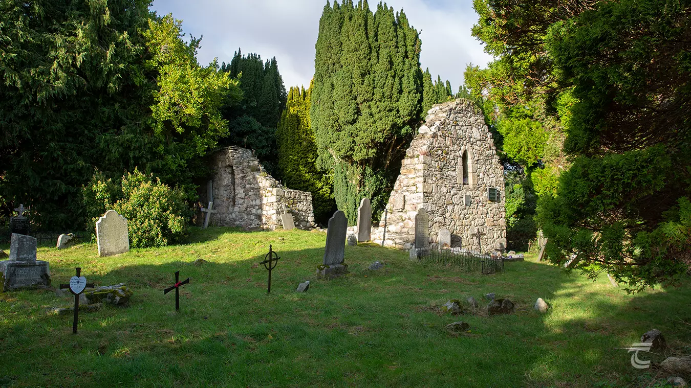Rathmichael Church and graveyard shaded and surrounded by trees