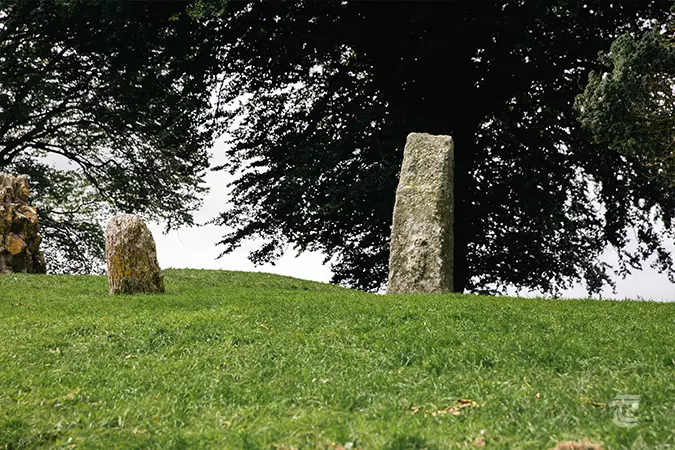 Bloc and bligne standing stones at st patricks church on the hill of tara