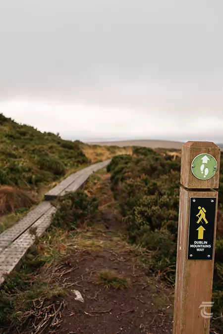 Way marker on the Dublin Mountain Way. A wooden boardwalk leads through heather.