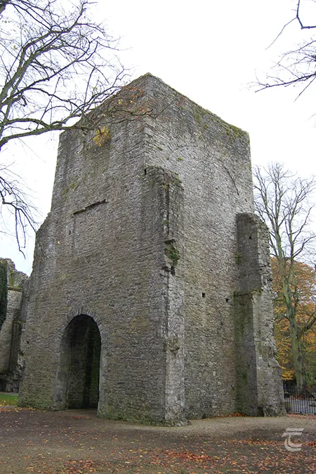 The tower of Maynooth Castle