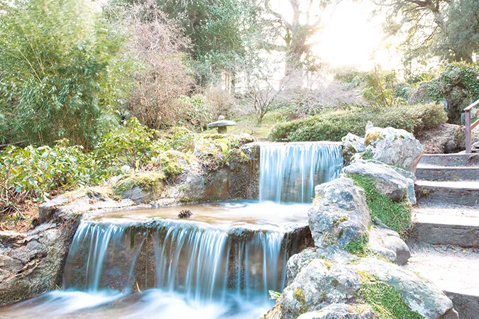 A small waterfall in the lovely Powerscourt Gardens