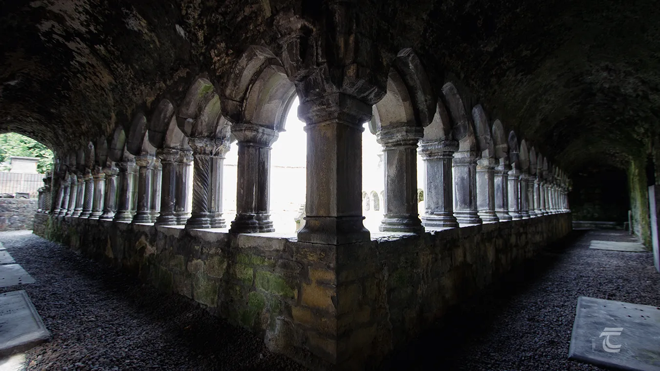 The Cloisters of Sligo Abbey