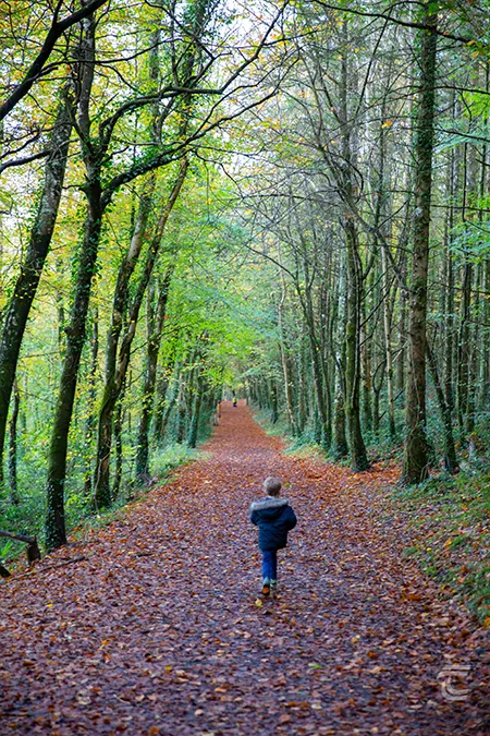 A small boy runs along a forest trail at Moore Hall