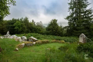 Aghanaglack Court Tomb Ballintempo Forest Fermanagh Northern Ireland