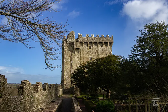 The path to Blarney Castle