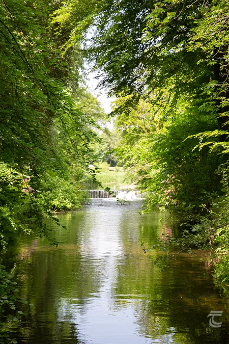 The river awbeg at Doneraile Park Cork