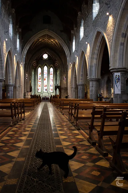 A Kilkenny Cat walks the aisle of St Canice's Cathedral