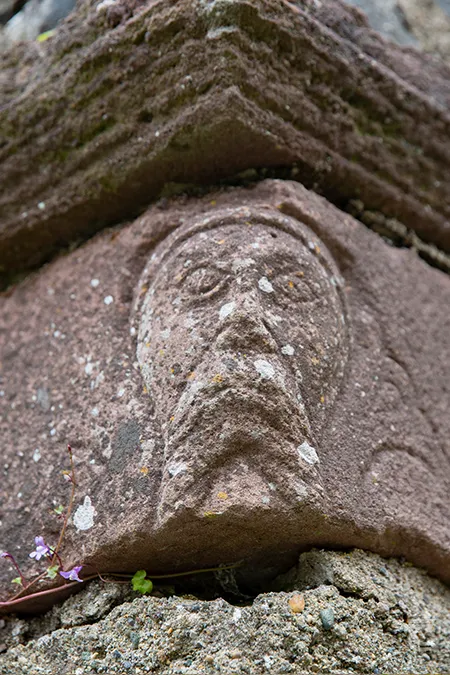 A romanesque face in the church of Innisfallen Abbey on Innisfallen Island Kerry. It may represent St Finian