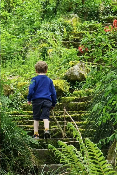 On the trail in Mount Congreve Gardens